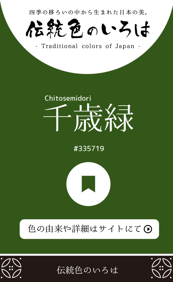 千歳緑(Chitosemidori)