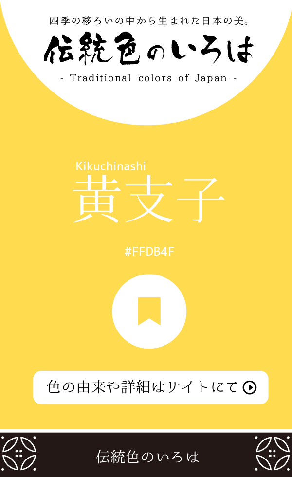 黄支子（Kikuchinashi）